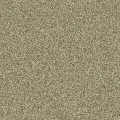 Furlong Flooring Provence Classic Carpet (Olive, 5M X 4M) - image 1
