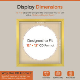 "16X16"" Gold Modern Vinyl Record Frame With Ivory Mount For 12 Inch Lp Disc - Ak Frames" - thumbnail 2