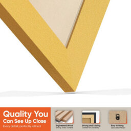 "16X16"" Gold Modern Vinyl Record Frame With Ivory Mount For 12 Inch Lp Disc - Ak Frames" - thumbnail 3