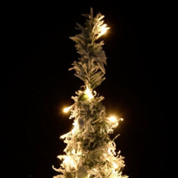 Berkfield Artificial Christmas Tree Pop-Up Flocked Snow 200 Leds 210 Cm - thumbnail 3