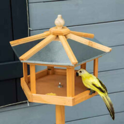 Wooden Free Standing Bird Feeder , Garden Or  Backyard Station - thumbnail 3