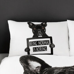 Gc Gaveno Cavailia 3D Being Normal Is Boring Duvet Cover Bedding Set Double 3Pc With Matching Pillowcases - thumbnail 2