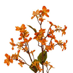 Hill Interiors Vernicia Fordii Artificial Flower Spray Orange (One Size)