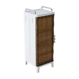 Darphe White Brown Freestanding Plastic Storage Cabinet With Single Magnetic Door - thumbnail 4