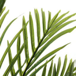 Darphe Artificial Plant Home Indoor And Outdoor Decoration Palm Tree Potted Plant Height 110Cm - thumbnail 5