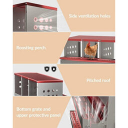 Red 2-Tier 6 Hole Roll Away Chicken Nest Boxes With Legs - thumbnail 3