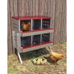 Red 2-Tier 6 Hole Roll Away Chicken Nest Boxes With Legs - thumbnail 1