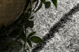 RugsX Carpet Silver Tronko Tree Wood - Grey  200X300 Cm - thumbnail 5