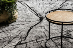 RugsX Carpet Silver Tronko Tree Wood - Grey  200X300 Cm - thumbnail 2