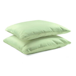 Casa Bonita Pair Of Mint Green Pillowcases - Peach Skin Microfibre Polyester - Soft Touch Easy Care Pillow Covers