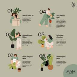 Artificial Plant Olive Tree, Maia Shop For Home And Office Decoration, 180Cm - thumbnail 6
