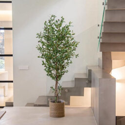Artificial Plant Olive Tree, Maia Shop For Home And Office Decoration, 180Cm - thumbnail 2