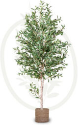 Artificial Plant Olive Tree, Maia Shop For Home And Office Decoration, 180Cm - thumbnail 1