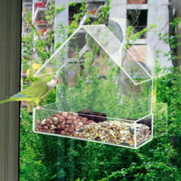 Taylor & Brown Clear Acrylic Bird Feeder With 3 Suction Cups, Compact Hanging Tray For Seeds & Peanuts, Transparent Viewing - thumbnail 4