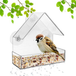 Taylor & Brown Clear Acrylic Bird Feeder With 3 Suction Cups, Compact Hanging Tray For Seeds & Peanuts, Transparent Viewing - thumbnail 1
