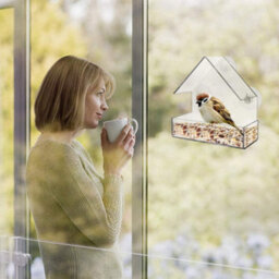 Taylor & Brown Clear Acrylic Bird Feeder With 3 Suction Cups, Compact Hanging Tray For Seeds & Peanuts, Transparent Viewing - thumbnail 5