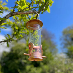 Selections Copper Style Hanging Bird Seed Feeders With 2 Feeding Ports - Pack Of 2 - thumbnail 4