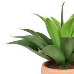 Candlelight Terracotta & Green 36Cm Aloe Pot With Artificial Plant In Terracotta Polka Dot Ceramic Pot - thumbnail 4