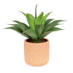 Candlelight Terracotta & Green 36Cm Aloe Pot With Artificial Plant In Terracotta Polka Dot Ceramic Pot - thumbnail 3