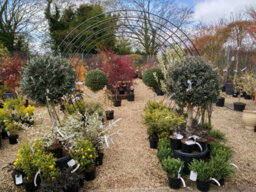 Poppy Forge Round Tunnel Arch (Including Ground Spikes) Garden Moon Gate Archway - Steel - L66 X W229 X H234 Cm - Powder Coated Antique Black - thumbnail 3