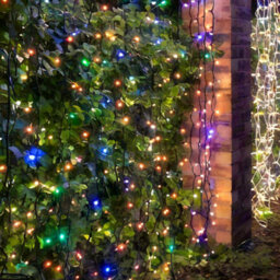 Christmas Tree World Crownvine 2 Pack 20 Led Multicolour Curtain Lights 2M - Black Rubber Cable (For Crownvine Lights) - thumbnail 1