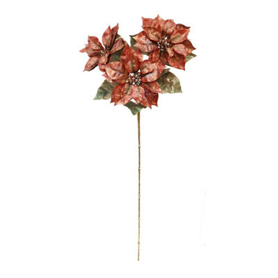 Metallic Orange And Brown Poinsettia