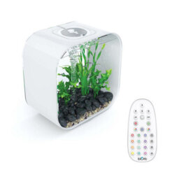 Oase Biorb Life 30L Aquarium Fish Tank In White With Multi Colour Led Lighting - thumbnail 1