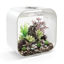 Oase Biorb Life 30L Aquarium Fish Tank In White With Multi Colour Led Lighting - thumbnail 3