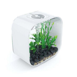 Oase Biorb Life 30L Aquarium Fish Tank In White With Multi Colour Led Lighting - thumbnail 2
