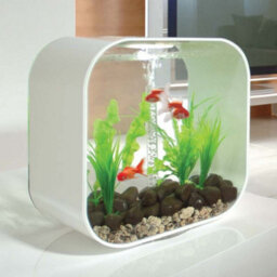 Oase Biorb Life 30L Aquarium Fish Tank In White With Multi Colour Led Lighting - thumbnail 4