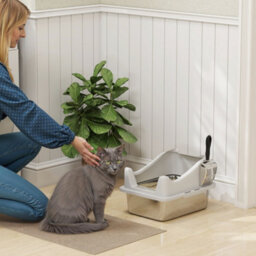 Pawhut Stainless Steel Cat Litter Box With High Sides, 43 X 33 X 25 Cm - thumbnail 1