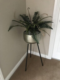 Leaf Artificial Boston Fern Plant - 60Cm Boston Fern - thumbnail 4