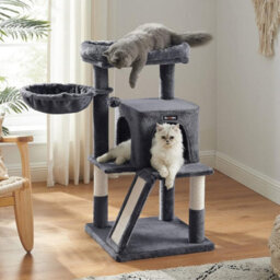Feandrea Small Cat Tree, Cat Tower With Widened Perch For Large Cats Indoor, Kittens, Scratching Posts And Ramp, Dark Gray