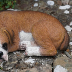 Burgess Sleeping Boxer Resin Sculpture Home Garden Puppy Dog Statue Outdoor Ornament British Pet Gift - thumbnail 3