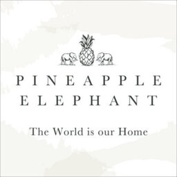 Pineapple Elephant Zofia Broderie Cotton Anglaise 55X90 Inch Tab Top Voile Curtain Panel Olive Green - thumbnail 5