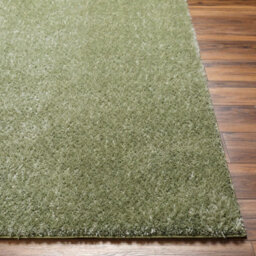 Livabliss Round Cloudy Shaggy-Solid Color Green Plush Soft Pile Living Bedroom Rug 120 X 120 Cm Easy Care, Non Shedding - thumbnail 5