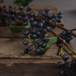 Hill Interiors Uk Homeliving Artificial Viburnum Berry - thumbnail 3
