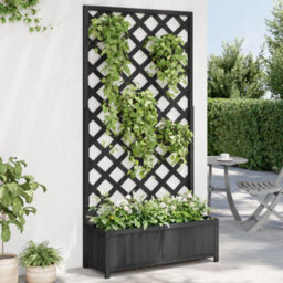 Walplus Planter With Trellis Black Solid Wood Fir