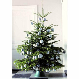 Elho Oslo 38Cm Green Christmas Tree Stand For Real Trees Up To 2M - thumbnail 4