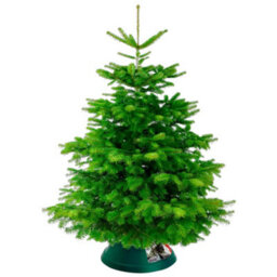 Elho Oslo 38Cm Green Christmas Tree Stand For Real Trees Up To 2M - thumbnail 6