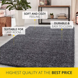 Abaseen Dark Grey Rug Small Large Shaggy Rug Modern Rugs Living Room Extra Large Small Medium Rectangular Soft Touch Thick Pile 120X170 Cm - thumbnail 2