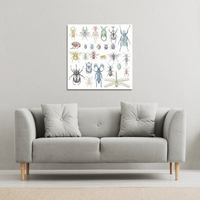 Andrew Lee Many Species In Vintage Old Hand Drawn Style (Canvas Print) / 101 X 101 X 4Cm - image 1