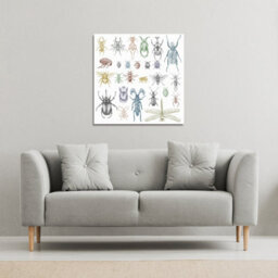 Andrew Lee Many Species In Vintage Old Hand Drawn Style (Canvas Print) / 101 X 101 X 4Cm - thumbnail 1