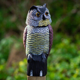 Woodside Large Realistic Bird/pigeon/crow Owl Decoy With Rotating Head - thumbnail 2