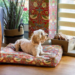 Morris & Co. Dog Mattress, Red Strawberry Thief Print, Thickly Padded, 100Cm X 80Cm, Large - thumbnail 5