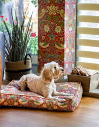 Morris & Co. Dog Mattress, Red Strawberry Thief Print, Thickly Padded, 100Cm X 80Cm, Large