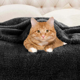 Ameha Fleece Plain Blanket, Lightweight & Reversible Throw For Travel, Bed & Sofa Blanket, Black Double 150X200Cm - thumbnail 4