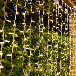 Christmas Tree World Crownvine 20 Led 2M White Rubber Cable Connectable Curtain Lights - Warm White - thumbnail 1