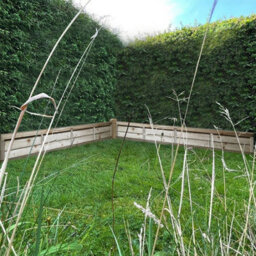 Premier Garden Supplies Premier Lap Wooden Fence Panel 6Ft X 1Ft (4 Pack) Overlapping Waney Larch Pressure Treated Fencing - thumbnail 6