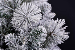Shatchi 5Ft Frosted Snowy Boulder Pine Helsinki Fir Green Tips Bushy Artificial Plain Christmas Tree - thumbnail 2